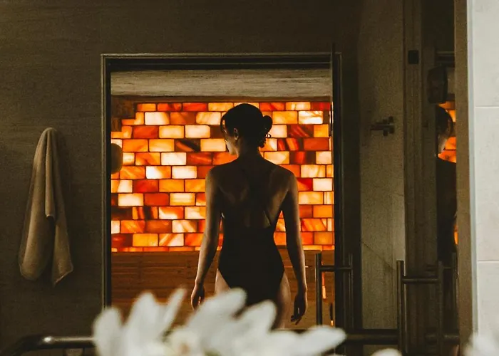 Aparthotel Le Berceau De La Source