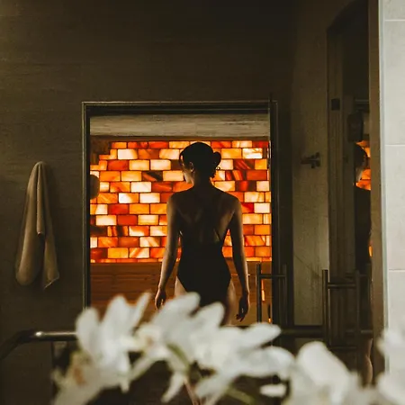 Апарт-отель Le Berceau De La Source